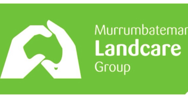 MB Landcare Logo